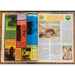 Tintin l'hebdoptimiste N°37 1973 Poster Brigitte Bardot vintage