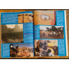 Tintin l'hebdoptimiste N°53 1974 vintage