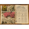 Clair foyer magazine N°192 1970 vintage