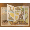 Journal de Mickey N°1713 avec cadeau Dinosaure 🦖 1985 vintage