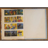 Ancien livre Les trois mousquetaires 1953 Collection Fanfan vintage