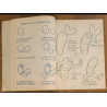 Ancien livre Woody Woodpecker 1981 pour apprendre à dessiner vintage