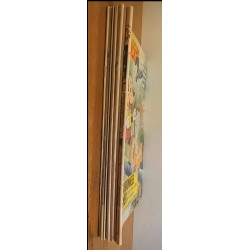 Lot de 7 anciens Journaux de Mickey vintage