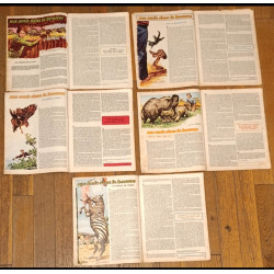 Rare Lot de 5 Journaux de Mickey série complète bd Tour de France 1973 vintage