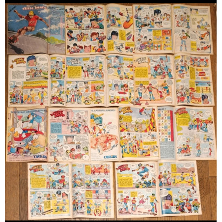 🛹 Rare Lot de 11 Journaux de Mickey Série complète leçons de skate bd 1978 vintage 🛹