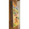 🛹 Rare Lot de 11 Journaux de Mickey Série complète leçons de skate bd 1978 vintage 🛹
