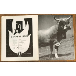 RARE ancien magazine NEUF N°5 Brassaï 1951