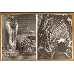 RARE ancien magazine NEUF N°5 Brassaï 1951