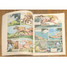 Livre Rahan l'invincible N°7 1979 vintage