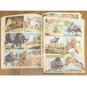 Livre Rahan l'invincible N°7 1979 vintage