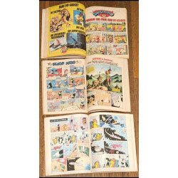 Lot de 14 Anciens Magazines Pif et Hercule Vintage