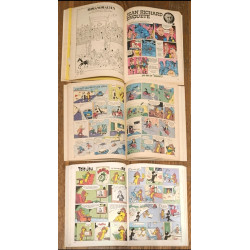 Lot de 14 Anciens Magazines Pif et Hercule Vintage