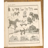 Rare - 1934 - 1935  - Ancien catalogue étrennes - jouets - Old england - Vintage