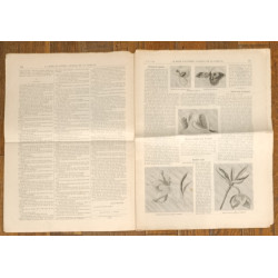 La Mode illustrée - 27 Juin 1897 - N°26 - Ancien Journal supplément - Vintage