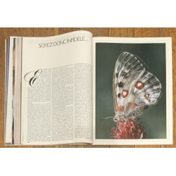 Marie Claire - Mai 1984 - N°381 - Ancien magazine Vintage