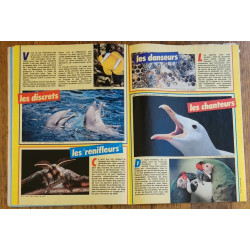 Journal de Mickey N°1676 avec cadeau Transfert Mickey 1984 vintage
